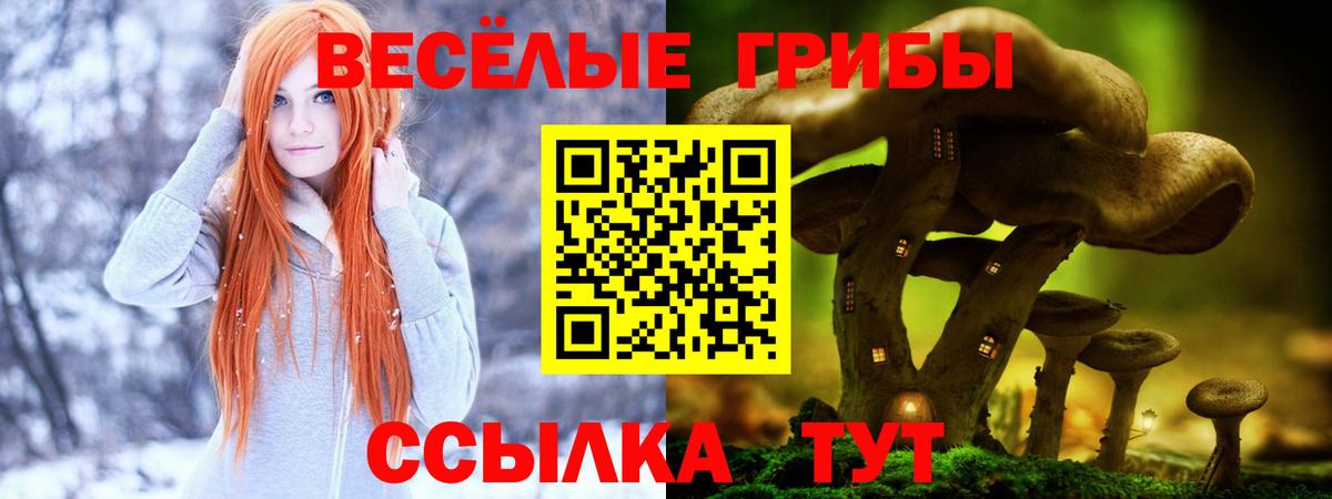 Усолье-Сибирское  Псилоцибиновые грибы Psilocybe  Вход с VPN 